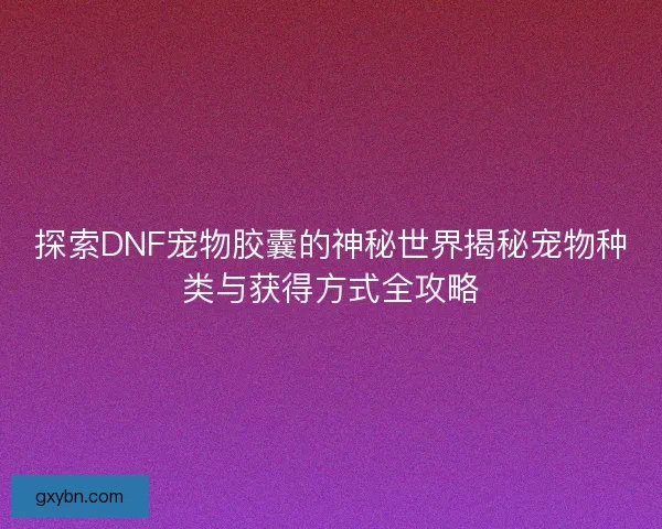 探索DNF宠物胶囊的神秘世界揭秘宠物种类与获得方式全攻略