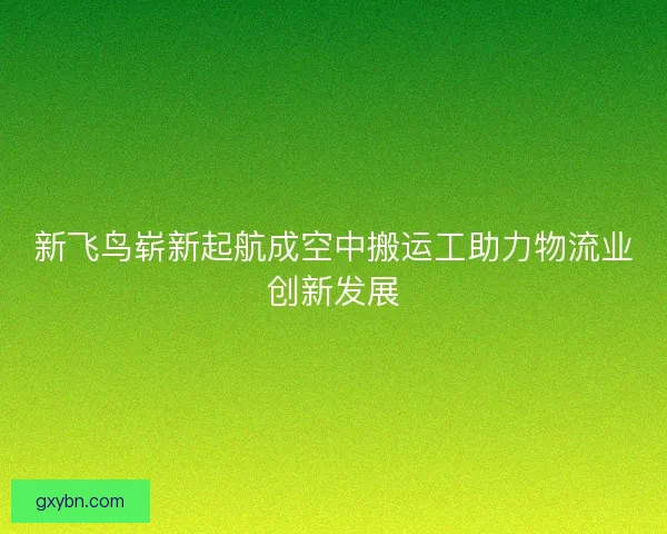 新飞鸟崭新起航成空中搬运工助力物流业创新发展