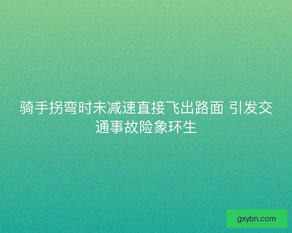 骑手拐弯时未减速直接飞出路面 引发交通事故险象环生