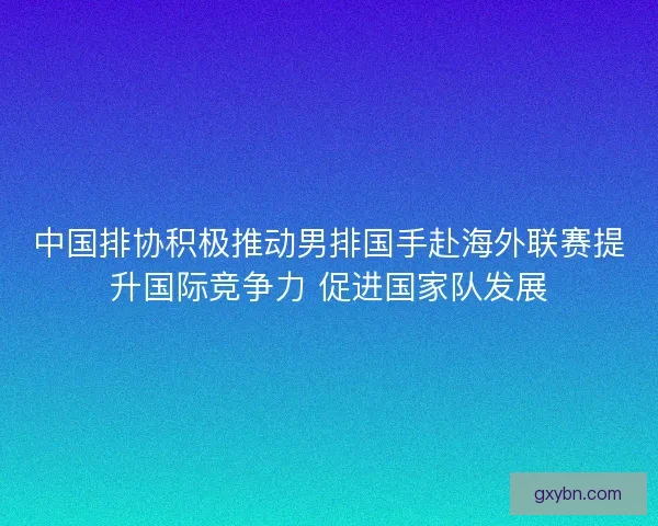 中国排协积极推动男排国手赴海外联赛提升国际竞争力 促进国家队发展