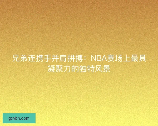 兄弟连携手并肩拼搏：NBA赛场上最具凝聚力的独特风景