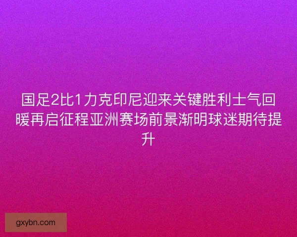 国足2比1力克印尼迎来关键胜利士气回暖再启征程亚洲赛场前景渐明球迷期待提升